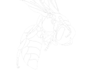 Membership image - Pollinator