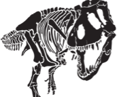 Membership image - Scotty the T. rex